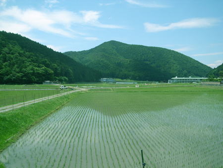 内覧会開催日の地域独自(立地による)の行事